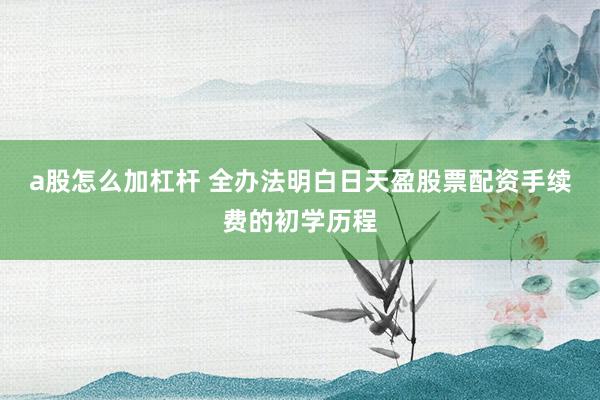 a股怎么加杠杆 全办法明白日天盈股票配资手续费的初学历程