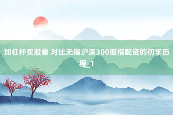 加杠杆买股票 对比无锡沪深300股指配资的初学历程_1